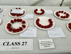 tomatoes on show on a plate