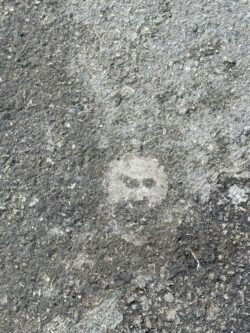 A face set within the asphalt of a pavement