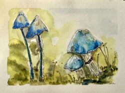 a watercolour line and wash piece of art featuring blue mushrooms